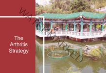 The Arthritis Step by Step Strategy Review