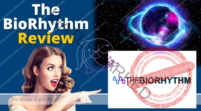 The Biorhythm Review
